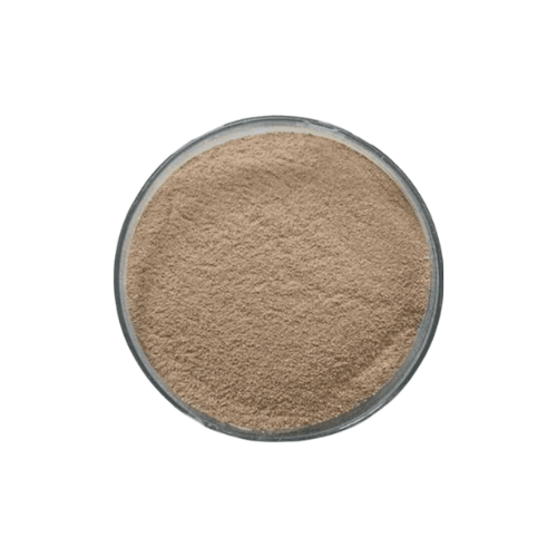 Bacterial Xylanase Bacterial Xylanase