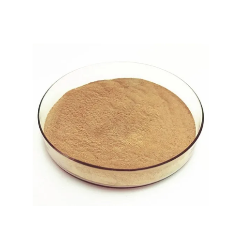 Fungal Alpha-amylase Fungal Alpha-amylase